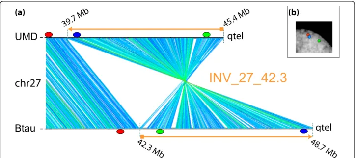 Figure 1 Example of GenAlyzer analysis (INV_27_42.3). (a) GenAlyzer graphic output of pairwise comparisons between masked Btau (bottom line) and UMD (upper line) sequences of the chr27 subtelomeric region