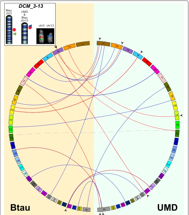 Figure 2 Interchromosomal comparison between Btau and UMD. Graphic output of Circos software illustrating all DCMs larger than 100 kbp