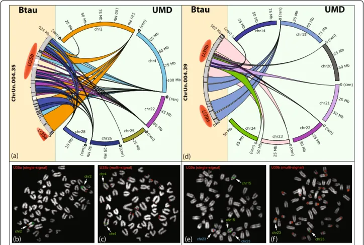 Figure 5 Mapping of the ChrUns 004.35 and 004.39. The complex mapping on UMD of sequences composing the Btau unassigned scaffolds 004.35 and 004.39 is illustrated by a Circos graphic output in (a) and (d), respectively