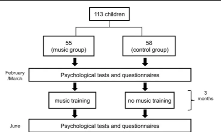 FIGURE 1 | Trial profile showing the different phases of the experiment.