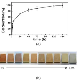 Figure 6. (a) Trend of MR decolouration assisted by the sample PL3d in the course of outdoor 