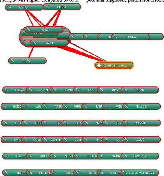 Figure 4. Computational analysis of the scientific literature. Computational analysis of the scientific literature evidences 24 modulated genes that are 