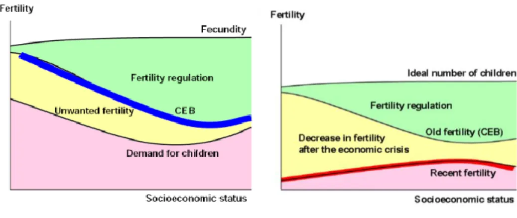 Figure 1 – Hypothesized Relationship between Socioeconomic Status and Fertility.