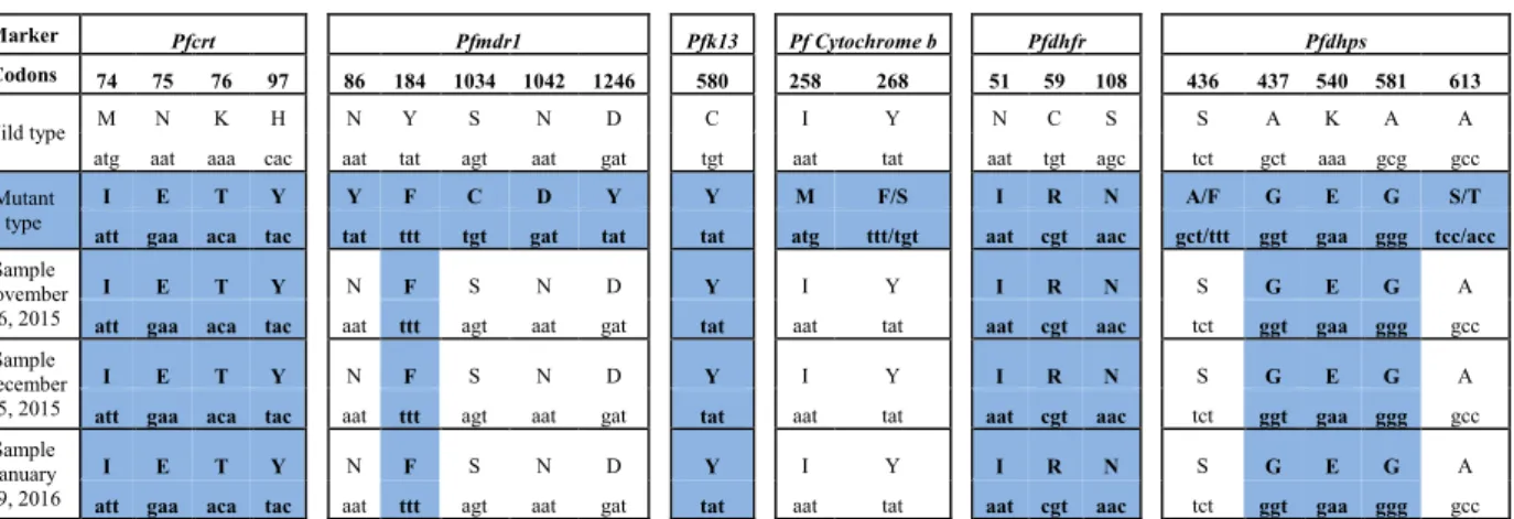 Table 1  Analysis of polymorphisms of the P. falciparum isolates