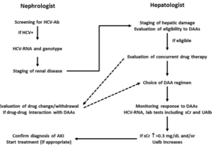 Fig. 3    Multidisciplinary model of care for the treatment of CKD  patients with HCV infection