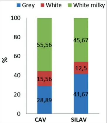 Fig 5.  Color percentages of ejaculates collected with artificial vagina 