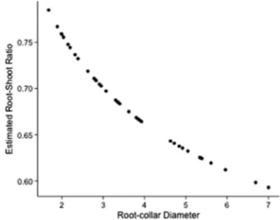 Fig. 6 Relationship between root/shoot ratio and root collar diameter (RCD). The curve has been obtained from estimated values of the BGB and AGB