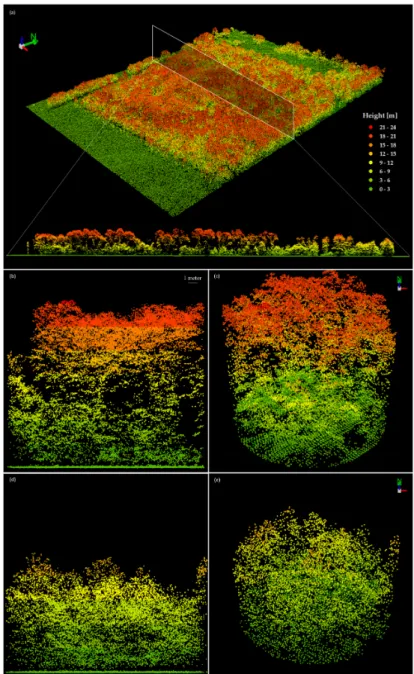 Figure 2. LiDAR profiles and 3D Views of a forested area of Parco Nord Milano (a); (b) and (c) are  respectively the profile and 3D View of Plot 1A, 29 years old; (d) and (e) are respectively the profile  and 3D View of Plot 23B, 17 years old