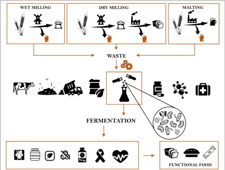 FIGURE 1 | The cereal industry by-products chain, from generation to the disposal, and their novel applications for improving nutritional and functional features of food.