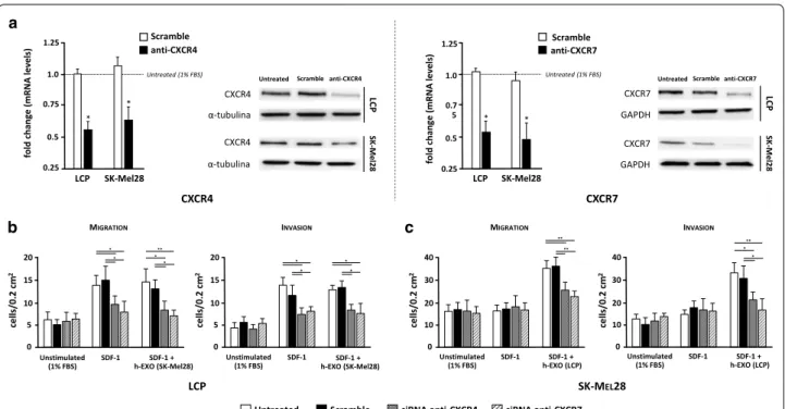 Fig. 7  Small interfering RNAs of CXCR4 and CXCR7 disables the osteotropism of melanoma cells
