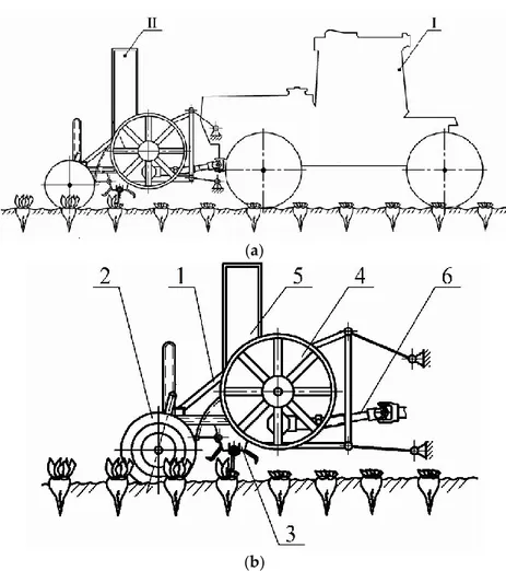 Figure  1.  Front-mounted  beet  topper  machine:  (a)  general view:  I—carrying  tractor;  II  beet  topper 