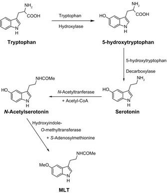 Figure 1 Biosynthetic pathway of melatonin (MLT).