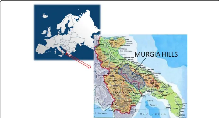 Fig. 1 Geographical location of Murgia Hills within the European geographical context