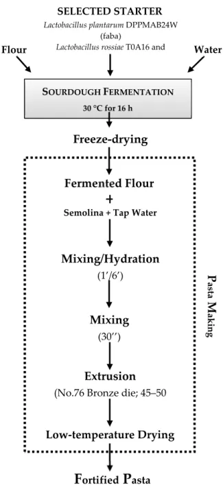 Figure 1. Example of the production process of pasta fortified with faba bean [51] or quinoa [80] flours  fermented with selected lactic acid bacteria
