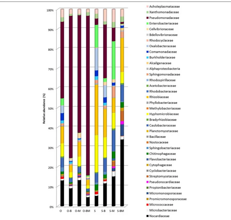 FIGURE 7 | Bacterial families distribution (%) found in roots of durum wheat (cultivars Odisseo, O, and Saragolla, S) inoculated with either Lactobacillus plantarum (O-B, S-B), or Funneliformis mosseae (O-M, S-M), or L