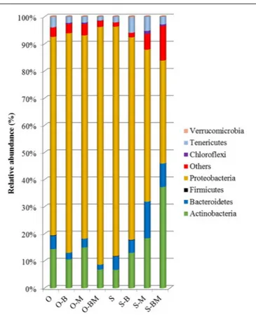 FIGURE 6 | Bacterial phyla distribution (%) found in roots of durum wheat (cultivars Odisseo, O, and Saragolla, S) inoculated with either Lactobacillus plantarum (O-B, S-B), or Funneliformis mosseae (O-M, S-M), or L