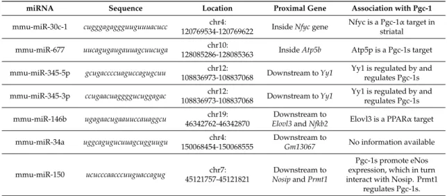 Table 1. Genomic characterization of microRNA upregulated by Pgc-1s. Abbreviations: Nfyc, nuclear transcription factor Y subunit gamma; Atp5b, ATP synthase F1 subunit beta; Yy1, Yin Yang 1; Elovl3, ELOVL fatty acid elongase 3; Nfkb2, nuclear factor kappa B