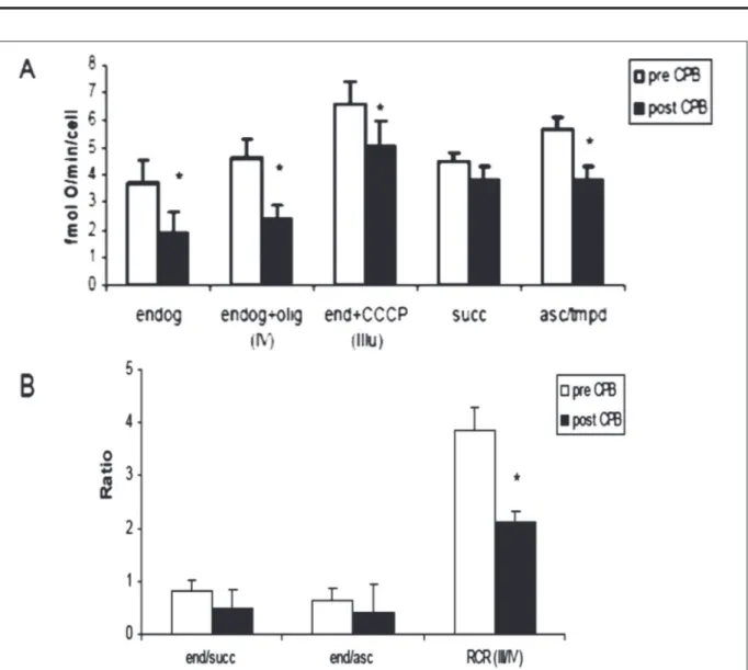 Figure 5.  Polarographic analysis of cellular respiratory activity in cellular suspensions of pre-CBP and post-CBP serum-