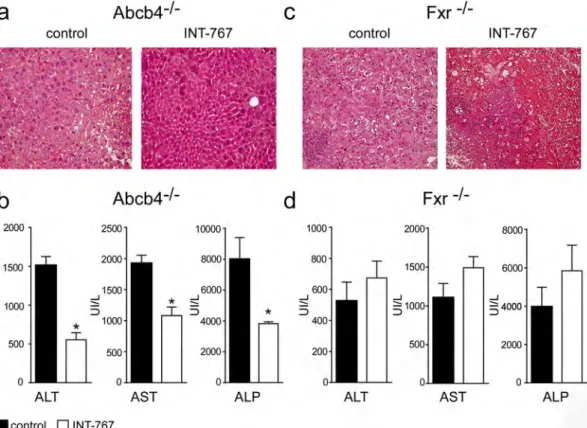 Figure 2.  Long-term administration of INT-767 promotes endogenous BA reduction and reduces liver damage