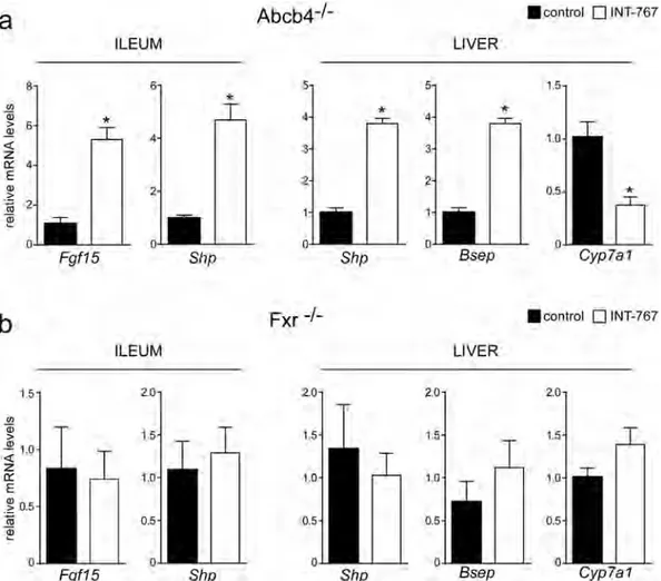 Figure 6.  Gene expression analysis of FXR-regulated genes (a) in Abcb4 −/−  and (b) Fxr −/−  mice fed with 