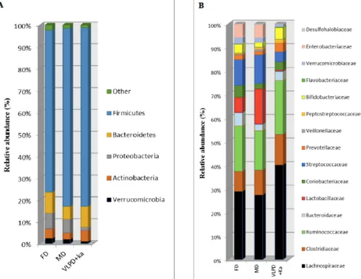 Figure 2. Bacterial phyla and families associated to dietary regimens in intestinal microbiota of 