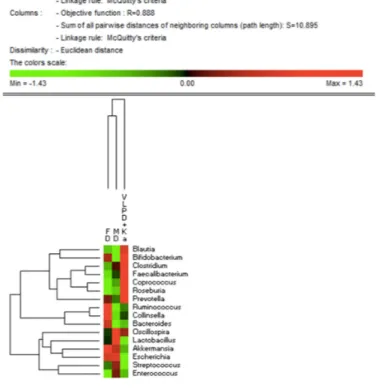 Figure 2. Bacterial phyla and families associated to dietary regimens in intestinal microbiota of 