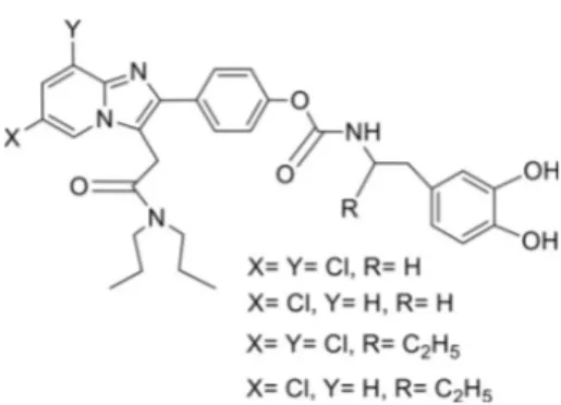 Figure 2. Structures of co-drugs of the GABAergic agent 2-phenylimida- 2-phenylimida-zo[1,2-a]pyridinacetamide and dopamine (DA) or ethyl ester l-DOPA (LD).