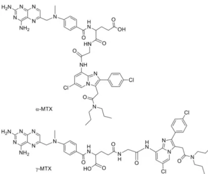 Figure 4. Structures of TSPO ligand–methotrexate conjugates a-MTX and g-MTX.