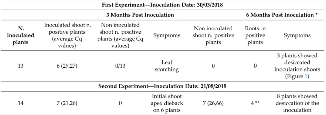 Table 1. Results of the needle-inoculations of Xylella fastidiosa strain “De Donno” on Medicago sativa.