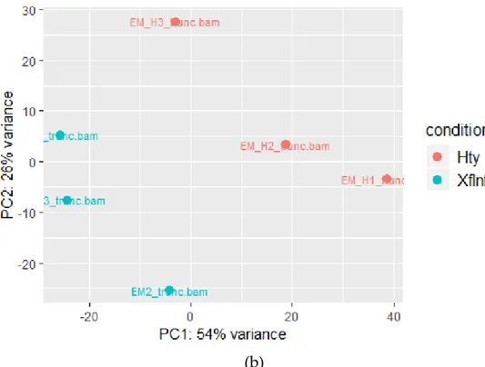 Figure 2. Principal component analysis (PCA) of reads mapped to a) the MSGI 1.2 transcriptome  database or b) the  M