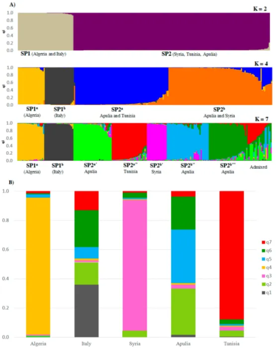 Figure 2. (A) The genetic structure of 218 olive accessions identified by the STRUCTURE algorithm at K = 2, K = 4 and K = 7; (B) The stacked bar plots showing, for olive populations originating from different geographical areas, the estimated membership co