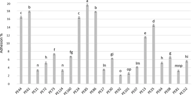 Table 3. Surface properties of the subset of 32 lactobacilli strains. 