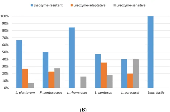 Figure 2. Occurrence of lysozyme tolerance among the screened strains (A) and its distribution within 