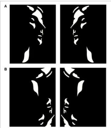 FIGURE 1 | Examples of upright (A) and inverted-scrambled (B) Mooney face stimuli.