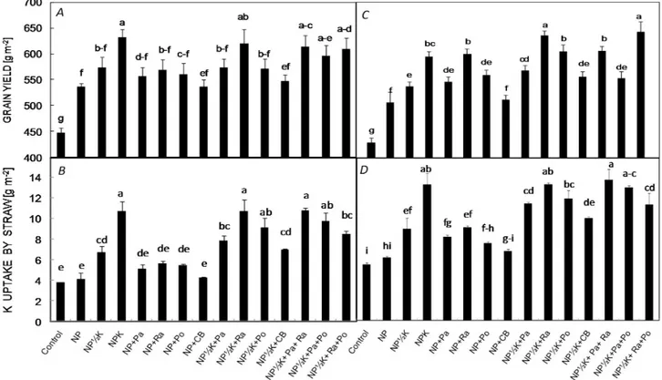 Fig. 1. The response of grain yield (A,C) and K concentration in straw (B,D) to potassium solubilizing bacteria (KSB) inoculations  and K chemical fertilizer application in pot (left panel) and field (right panel) experiments