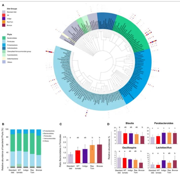 FigUre 2 | Composition of the intestinal microbiota of mice fed diets enriched with different tomato fruit