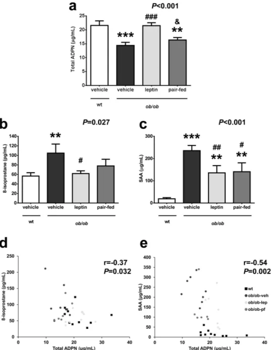 Figure 1.  Leptin replacement increases total adiponectin (ADPN) concentrations, which were reduced in ob/ob  mice, reducing systemic inflammation and oxidative stress