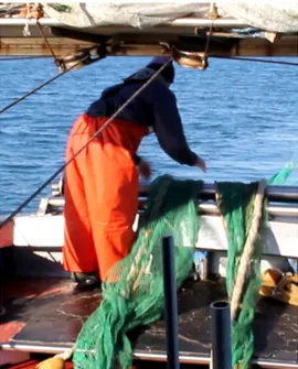 Figure 1. Fisherman during the activity of manual handling fishing nets. 