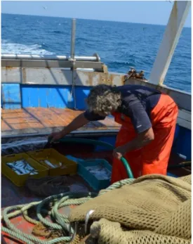 Figure 2. Fisherman during the activity of manual handling fishing boxes. 