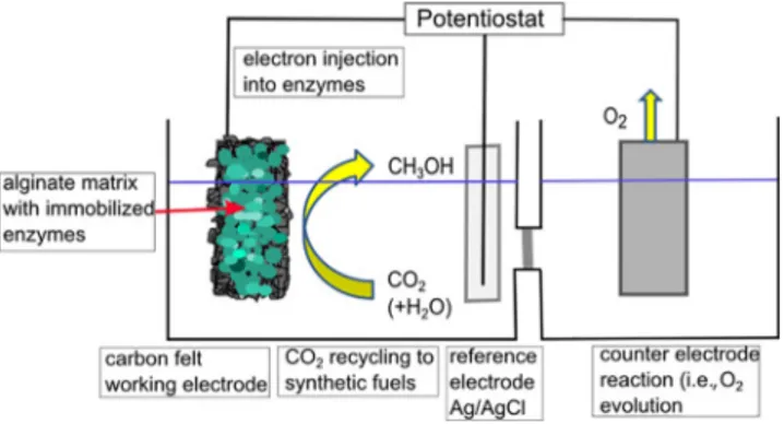 Figure 9. Scheme for the setup of an electrochemical cell for electroenzymatic CO 2 reduction