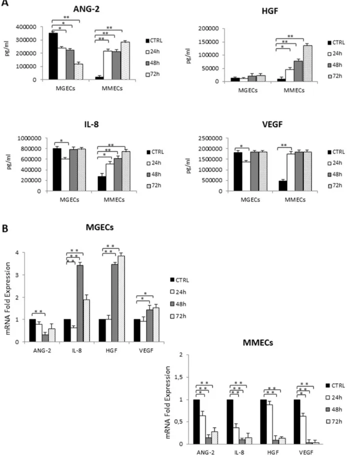 Figure 3: RHuEpo regulates secretion of pro angiogenic factors by bone marrow endothelial cells