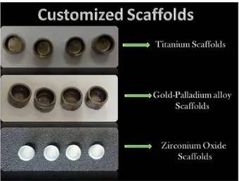 Figure 3.  The customized scaffolds. Four titanium samples, 