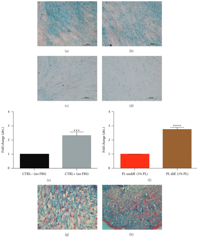 Figure 5: Effect of PL on chondrogenic differentiation of DPSCs. (a–d) Representative images of DPSC cultured for 21 days in chondrogenic medium without (a) or with (b) PL