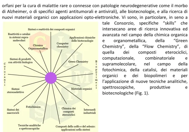 Fig. 1 - Competenze specifiche del Consorzio CINMPIS 