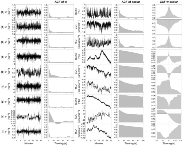 Figure 1. Illustrative examples of high-frequency time series (after alignment by means of the maximum covariance procedure and mean removal) from the Fi-Sii site with their respective ACFs and CCFs