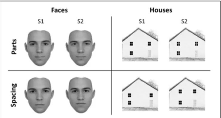 FIGURE 1 | Experimental stimuli. Face (left) and house (right) stimuli adopted in the University of East London (UEL) face task