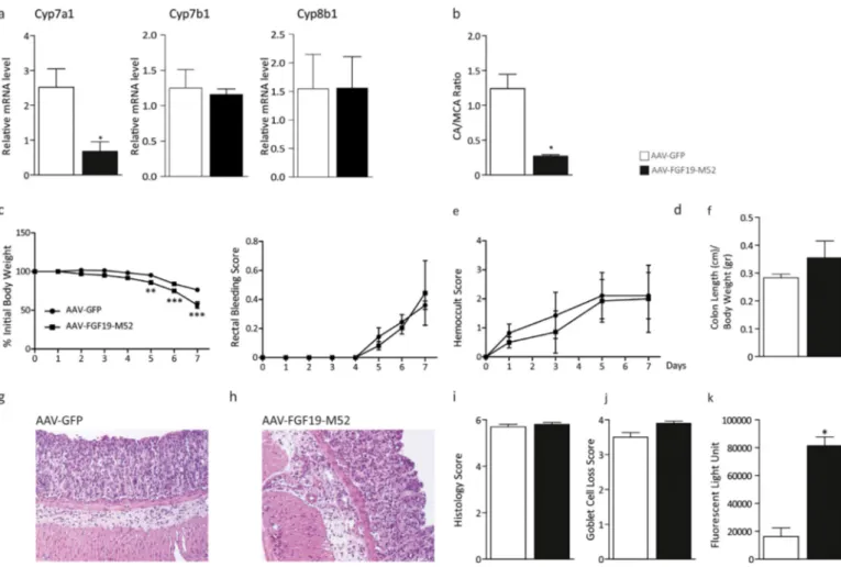 Fig. 4. The non-tumorigenic FGF19 analogue M52 retains BA synthesis regulatory activity in Fxr null