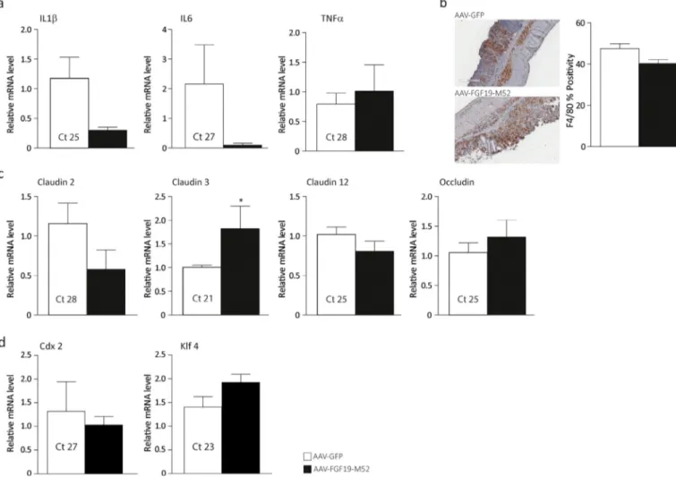 Fig. 5. FGF19-M52 does not affect colonic expression of genes involved in local pro-inﬂammatory immune response and epithelial barrier homeostasis In FXR null