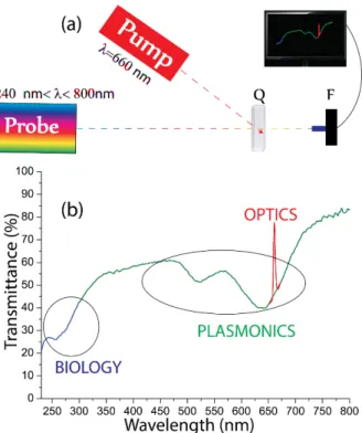 Figure 4.  (a) All-optical setup for sample characterization (Q  is the quartz cuvette and    F is the transmission optical fiber); (b) Transmission spectrum of the GNRs/DNA solution  under optical illumination