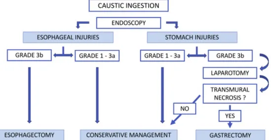 Fig. 4. Algorithm for emergency management of caustic injuries.